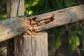 Homeadvisor's wood fence repair guide provides estimated costs and. How To Repair A Wooden Fence Its Rails Posts Screens And Gates