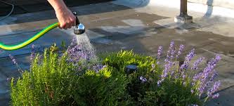 Puddles provide mosquito breeding grounds, and soggy areas on the lawn mean that dogs and people are more likely to track mud into the house. How Do You Get A Water Supply Up To A Roof Garden Brooklyn Roof Garden