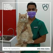 Hoạt động giải trí tại kota bharu. Hanif Vet Clinic Hanifvetclinic Twitter