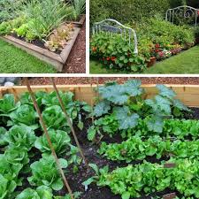 Maybe you would like to learn more about one of these? 25 Vegetable Garden Ideas For Any Size Space