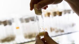 Photo Dsengagement du CNRS dans les universits du Centre Val-de ...