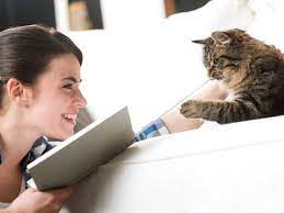 How To Help Your Cat Live A Long Healthy Life How Long Do Cats Live Petmd Cat Care Cats Cat Hacks