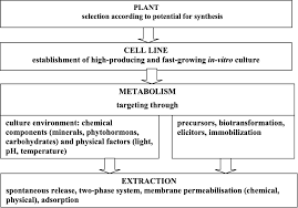 Plant cell culture for production of secondary metabolites. Figure 1 From Production Of Secondary Metabolites Using Plant Cell Cultures Semantic Scholar