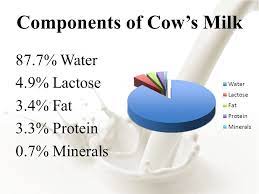 Chemistry & Composition of Milk. Which of the following animals produce  milk after giving birth? A.Dog B.Pig C.Cow D.Mouse E.All of the above All  mammals. - ppt download