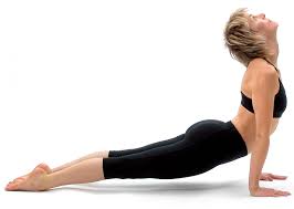 39 Top Image Upward Dog Yoga Poses Upward Facing Dog Upward Facing Dog Pose