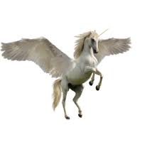 يونيكورن دعوة زفاف ورقة ، يونيكورن ، يونيكورن وقوس قزح التوضيح, الثدييات, الفقاريات, اللون png ثوب قرنفلي اللون، أيضا، أبيض، يونيكورن، تصوير، يونيكورن، unicornio, مخلوق أسطوري, تصوير, رأس png Download Unicorn Free Png Photo Images And Clipart Freepngimg