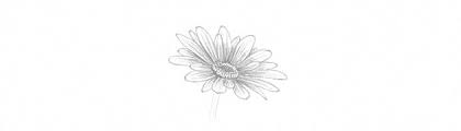 Feel free to explore, study and enjoy paintings with paintingvalley.com How To Draw A Flower