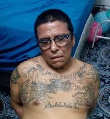 Mediante un trabajo investigativo de Inteligencia Policial y la División  Élite contra Crimen Organizado (DECO) capturamos a José Wilfredo Ayala  Alcántara, alias Indio de Hollywood o Viejo Lindo, quien es cabecilla de