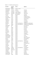 Image result for Calycosiphonia spathicalyx