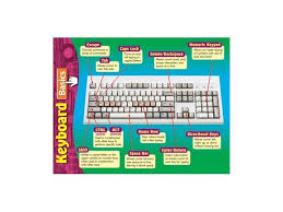 Computer Keyboard Chart 17 X 22 No T 38122