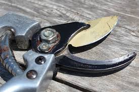 I'm just putting a pair of safety gloves on. How To Sharpen Pruning Shears The Creek Line House