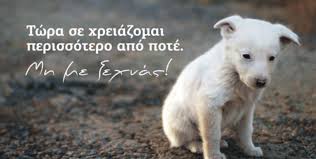 Αναφορικά με τα τηλέφωνα που δέχθηκε το site για τα αδέσποτα ...
