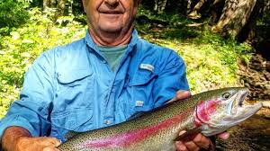 Alibaba.com offers 2,245 rainbow trout products. Late Summer Trout Fishing In North Carolina Mountain Streams Is Peaking
