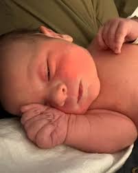 Lance Ginn (@lanceginn) • Instagram photos and videos