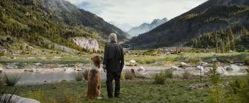 A vadon hívó szava online filmvidea.hu. Harrison Ford Esete A Pixelkutyaval A Filmben Ami Minden Perccel Egyre Rosszabbnak Tunik 24 Hu