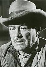 The Fugitive (TV Series 1963–1967)