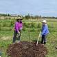 Apple Creek Food Forest Volunteer Session event image