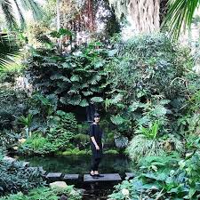 Birthdaygirl Im Dachungel Ein Perfekter Ort Zum Sichselbstfeiern Rennadeluxe Palmengarten Frankfurt Birthdaygirl Instagram Outdoor Plants