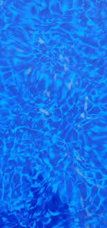 Using diatomaceous earth safely download article. Can T Get This This Diatomaceous Earth Out The Bottom Of My Pool Pools