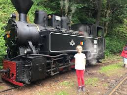 Mocanita de pe valea vaserului. Romania Cu Mocanita Pe Valea Vaserului Blog Calatorii In Familie