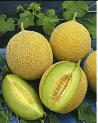 Meski tinggi kalori, apel merupakan buah yang bebas. 5 Buah Yang Bagus Untuk Diet Steemit