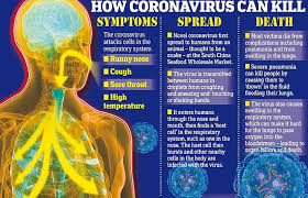 ) deaths recoveries active cases. Serangan Besar Covid 19 Bunuh Sistem Dalaman Manusia Famili Mstar