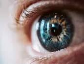 Photos Regard, 627 000+ photos de haute qualité gratuites