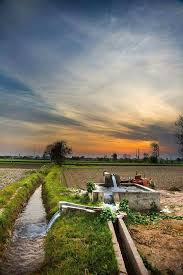 Irrigating The Fields In A Village In The Punjab Pakistan Punjab Five Waters Is Pakistan S Seco Village Photography Village Photos Agriculture Photography