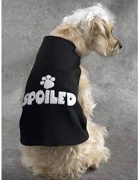 Näh dir deinen pullover einfach selbst! Amazon De Schnittmuster Hundekleid Hundetutu Hundemantel Hundebekleidung