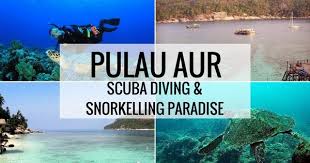 Terdapat kediaman di pesisir pantai yang membolehkan anda menginap disini. Pulau Aur Johor Underrated Scuba Diving Snorkelling Paradise