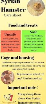 May 08, 2020 · alternatively, creatures from the outside and can freely move it since the sphere is weightless. Pin By Samantha On Hanster Hamster Food Hamster Care Syrian Hamster