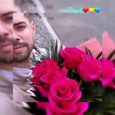 Romanasii Lui Robert