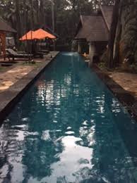 Bikin kolam renang di depan rumah sendiri. Kolam Renang Untuk Dewasa Nya Sempit Walau Panjang Maksimum 2 Orang Berenang Lebih Dari Itu Se Foto Di Novotel Bogor Golf Resort And Convention Center Tripadvisor