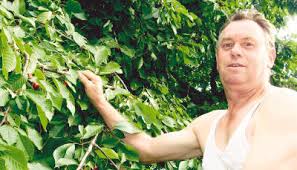 Was übrig bleibt, kommt ins Fass“