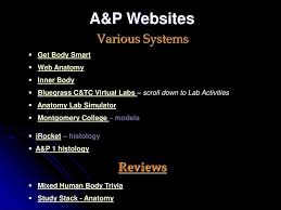 Learn about muscles anatomy getbodysmart with free interactive flashcards. Biol 203 Web Pages To Help You Study Labs Ppt Download