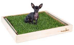 Our specially formulated, hydroponically grown grass is designed to work perfectly as an indoor puppy potty, a porch potty for your dog, or outside on your balcony as a fresh potty patch. Fresh Patch The Official Real Grass Dog Potty And Training Website