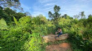 See tripadvisor's 1,527,810 traveller reviews and photos of singapore tourist attractions. Hiking Clementi Forest A Secret Route Off The Green Corridor The Travel Intern