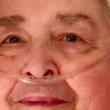 Fundraiser for Sara Lively by Anna Rio : Honor Amanda Reckart's Legacy and  Love