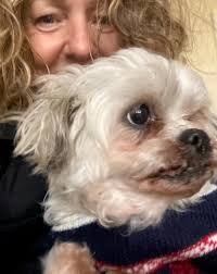 Olive gives the best cuddles 💖