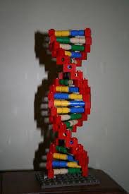 dna model out of lego dna model project dna model dna project