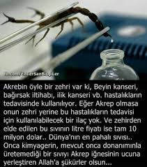Organik Doktorum Organikdoktorum Faydali Bilgiler Sitesi Organik Yasam Felsefesi Dogal Kur Tarifleri Organik U Bilgi Gizli Bilgi Bilgi Karti