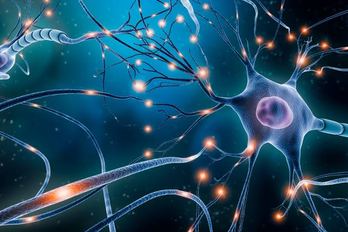 Bioglutide NA-931 Neurotransmitter | Shaanxi BLOOM Tech Co., Ltd