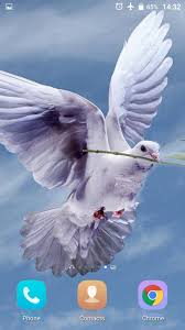 On this site which is uploaded by our user for free download. Merpati 3d Live Wallpaper For Android Apk Download