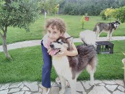 Check spelling or type a new query. Alaskan Malamute By Family Mantes Lamia Hellas Posts Facebook