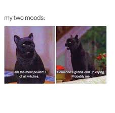 The Best Mercury Retrograde Memes To Share When Your Life Falls Into Fiery Ruins Livingly Mercury Retrograde Funny Mercury Retrograde Meme Art Of War Quotes