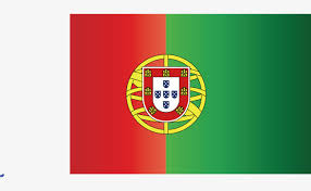 Image result for psd portugal