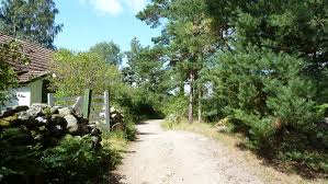 617 likes · 2 talking about this · 12 were here. Bilder Fra Sondre Sandoy Hvaler Stig Ulfsby No