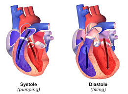 difference between systolic and diastolic definition