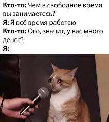 Кто-то: Чем в свободное время вы занимаетесь? Я: Я всё время работаю  Кто-то: Ого, значит, у вас мн / жизнь боль :: картинки с надписями /  смешные картинки и другие приколы: комиксы,