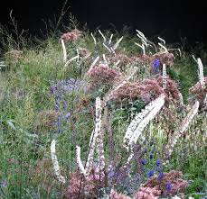 Piet Oudolf Garden History Colorful Garden Dutch Gardens